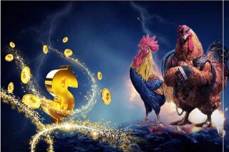 Trải Nghiệm Đá Gà 333Win Kịch Tính Và Nhận Thưởng Lớn Ngay Hôm Nay