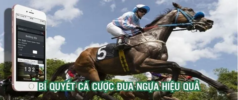 Trải Nghiệm Cá Cược Đua Ngựa 333Win Đỉnh Cao Nhận Thưởng Lớn