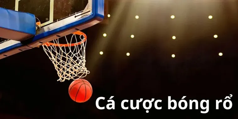 Chinh Phục Sàn Đấu Cá Cược Bóng Rổ 333Win Sôi Động Nhận Quà Khủng